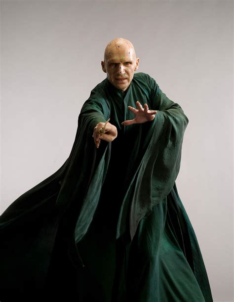 harry potter Lord Voldemort